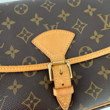 Sac Louis Vuitton Sologne