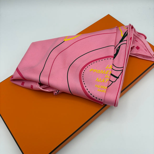 Pointe Twill Hermes la promenade du matin