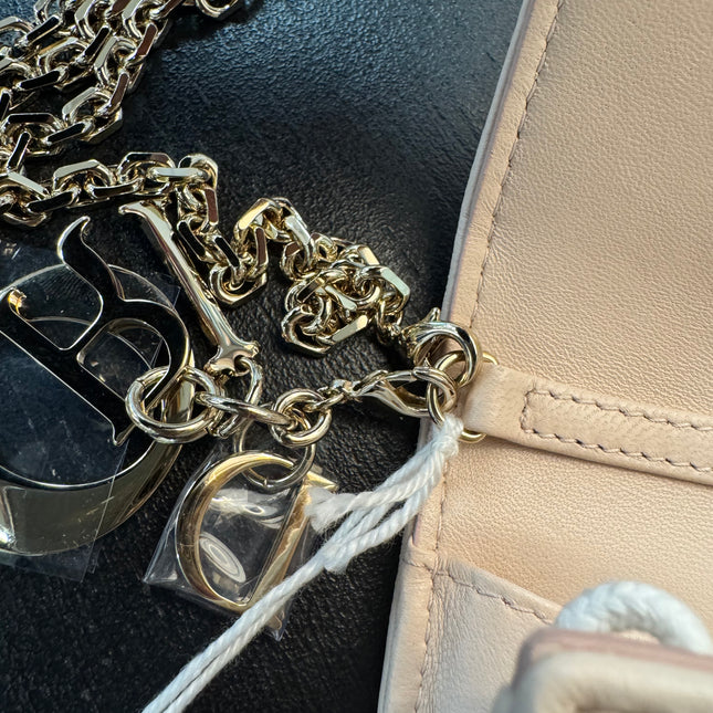 Sac Wallet on Chain Dior