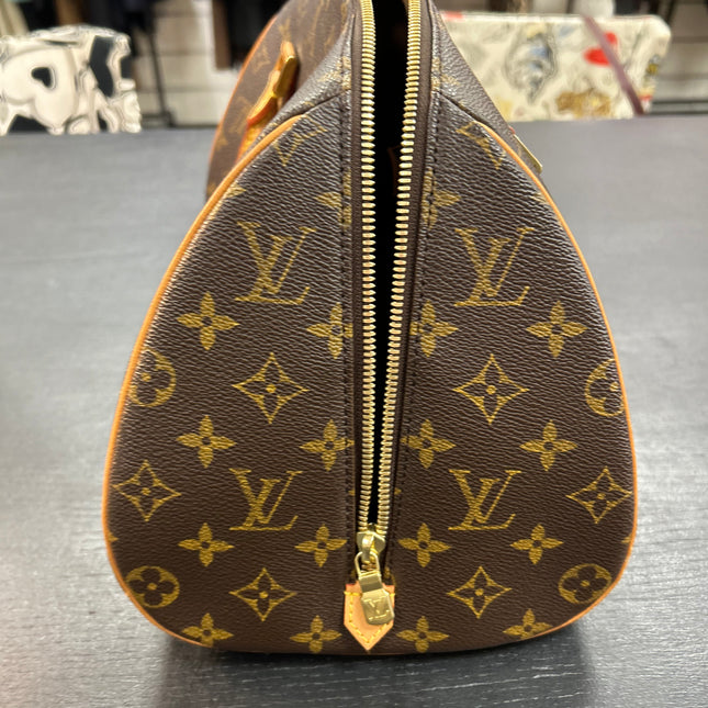 Sac Louis Vuitton Riviera