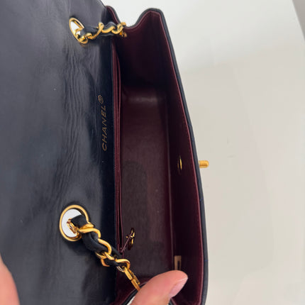 Sac Chanel Diana PM Marine