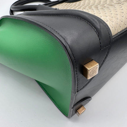 Sac Céline Luggage