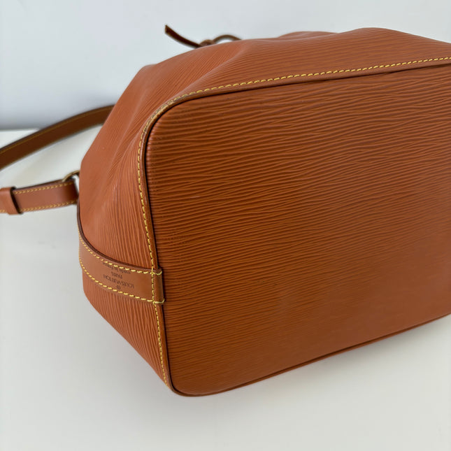 Sac Louis Vuitton Noé PM