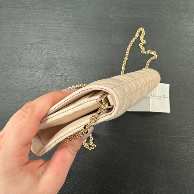 Sac Wallet on Chain Dior