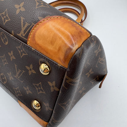 Sac Louis Vuitton Ségur