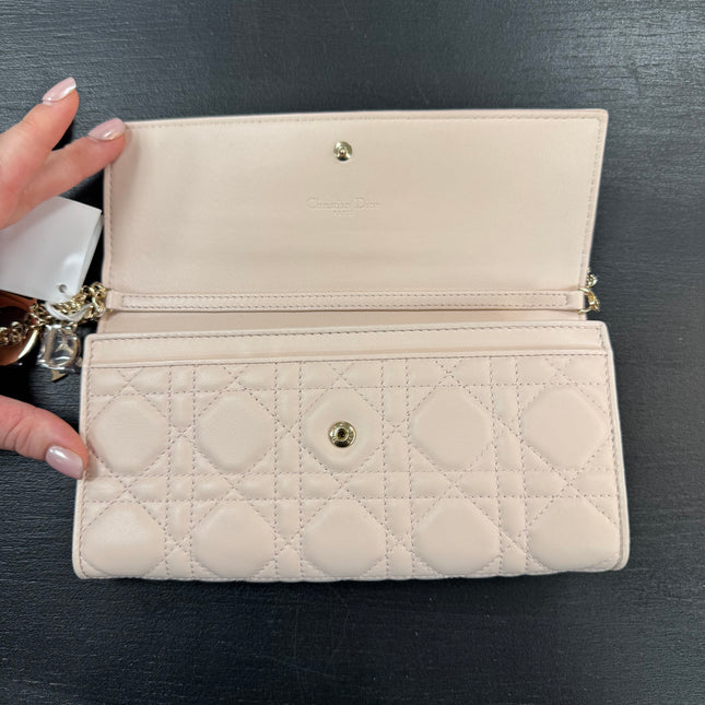 Sac Wallet on Chain Dior