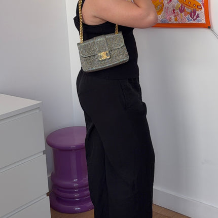 Sac Céline Teen Victoire