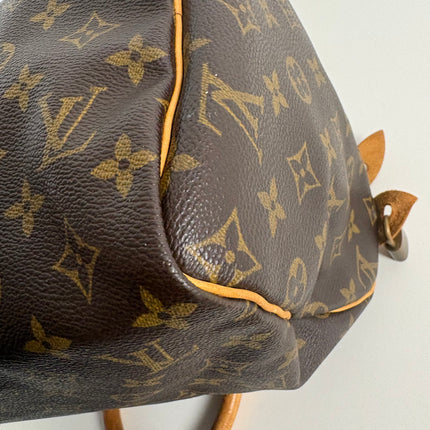 Sac Louis Vuitton Speedy 30