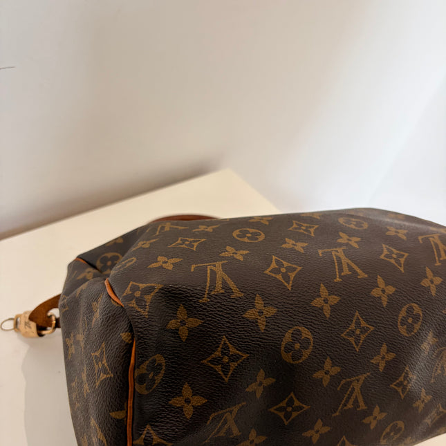 Sac Louis Vuitton Speedy 25