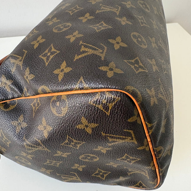 Sac Louis Vuitton Speedy 30