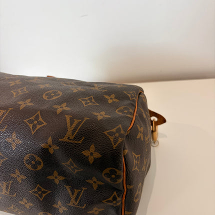 Sac Louis Vuitton Speedy 25