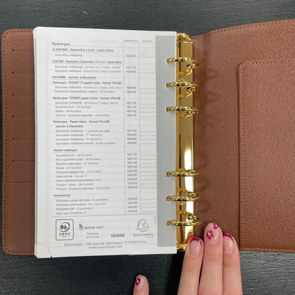 Agenda MM Louis Vuitton Monogram