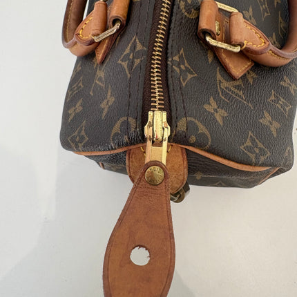Sac Louis Vuitton Speedy 25 monogram