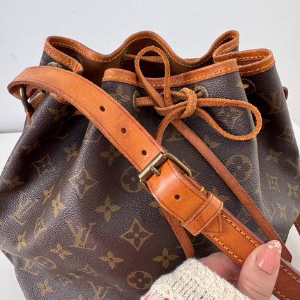 Sac Louis Vuitton Noé Pm