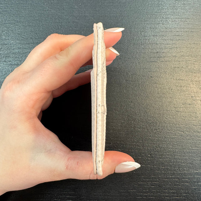 Porte cartes Diorama Dior