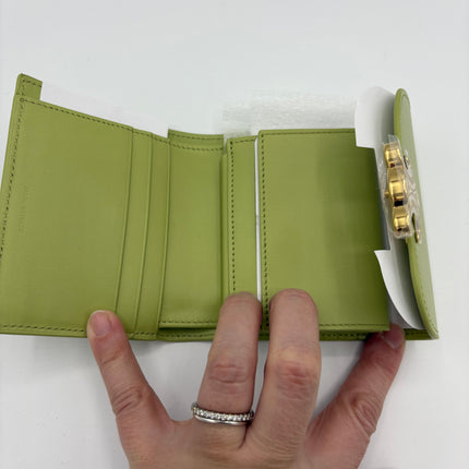 Portefeuille Céline triomphe vert sauge