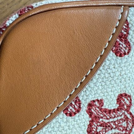 Sac Céline Caméra Triomphe