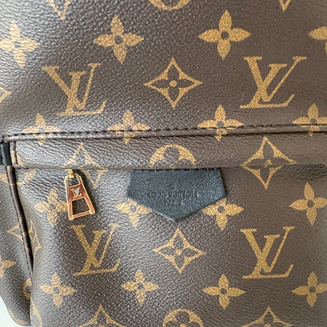 Sac à dos Louis Vuitton Palm Spring MM