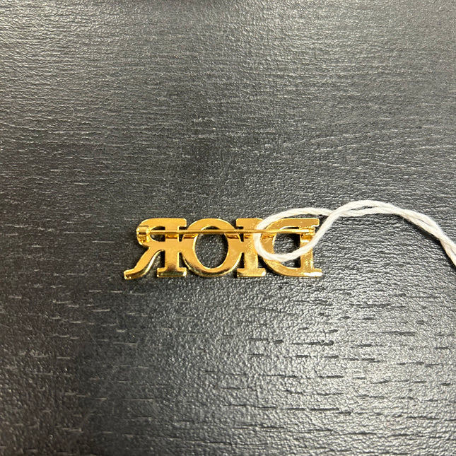 Broche Dior R(E)volution