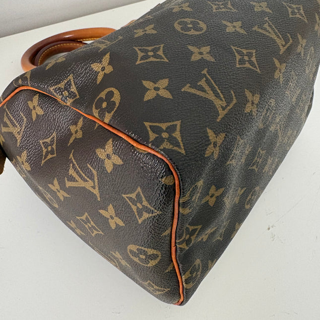 Sac Louis Vuitton Speedy 25