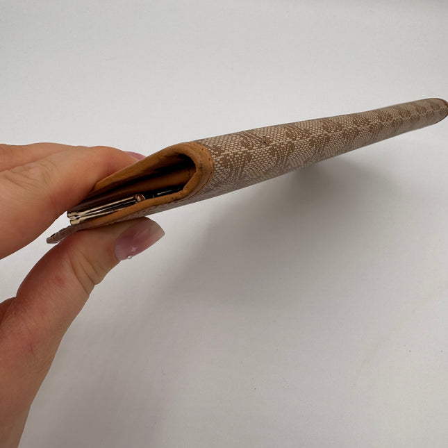 Portefeuille Celine Triomphe