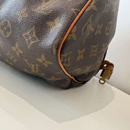 Louis Vuitton Speedy 30 monogram