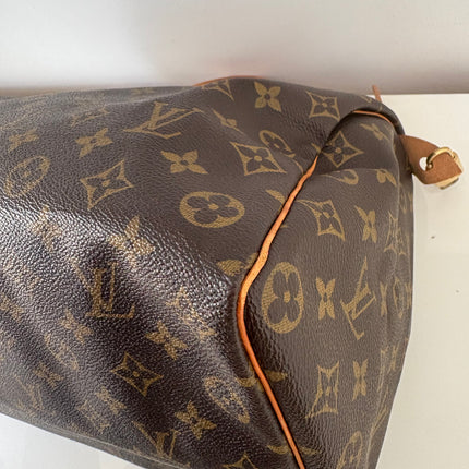 Sac Louis Vuitton Speedy 35