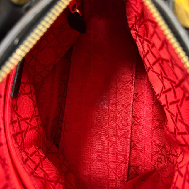 Sac Lady Dior Small Noir