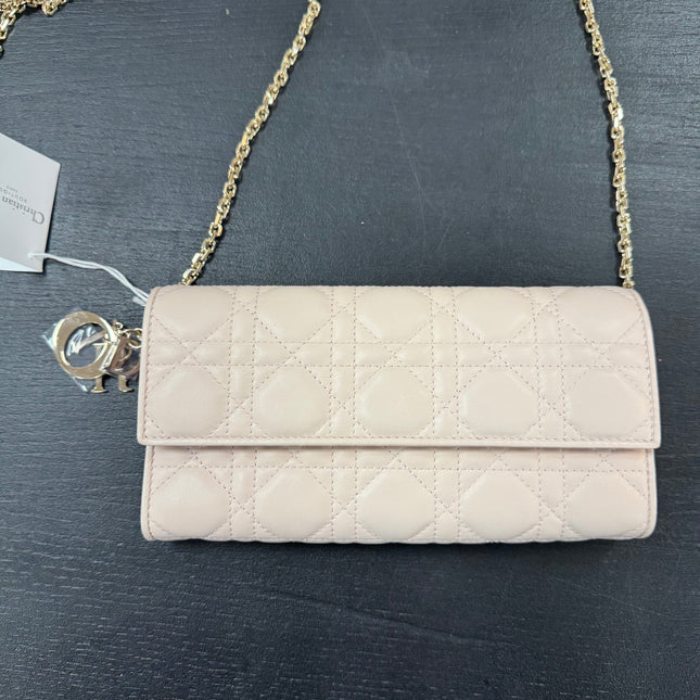 Sac Wallet on Chain Dior