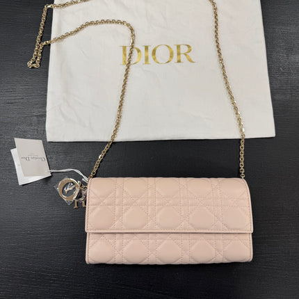 Sac Wallet on Chain Dior