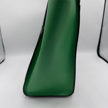 Sac Céline Luggage