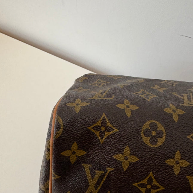 Louis Vuitton Speedy 30 monogram