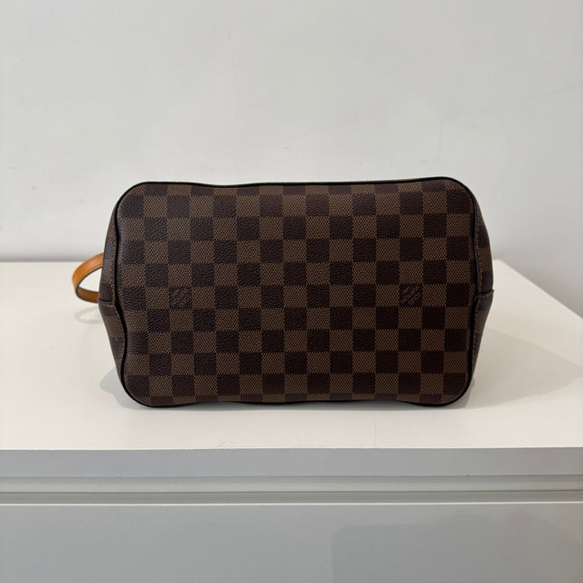Sac Louis Vuitton Neo Noé Damier ébène & safran