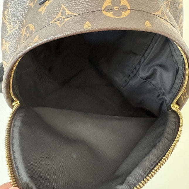Sac à dos Louis Vuitton Palm Spring MM
