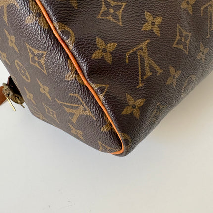 Sac Louis Vuitton Speedy 30