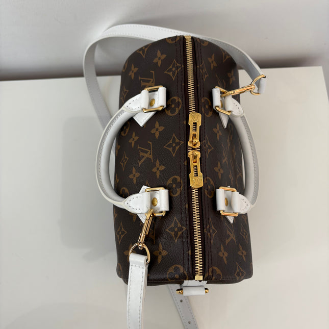 Sac Louis Vuitton Speedy 25 Monogram édition limitée roland-garros