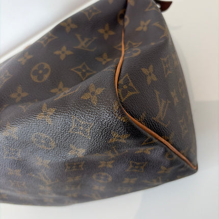 Sac Louis Vuitton Speedy 30