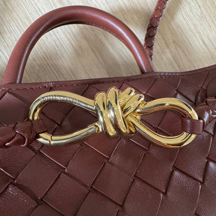 Sac Andiamo Petit Bottega Veneta Marron Sapele