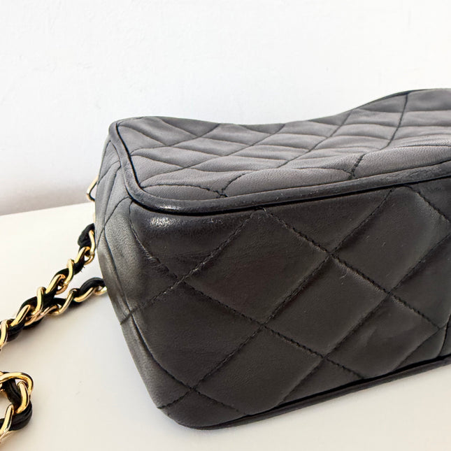 Sac Chanel Camera PM