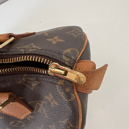 Sac Louis Vuitton Speedy 25 monogram