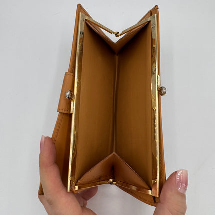 Portefeuille Celine Triomphe