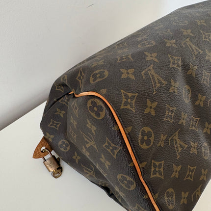Sac Louis Vuitton Speedy 35