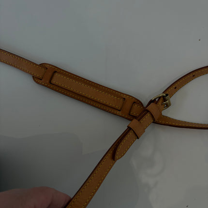 Sac Louis Vuitton Blois monogram