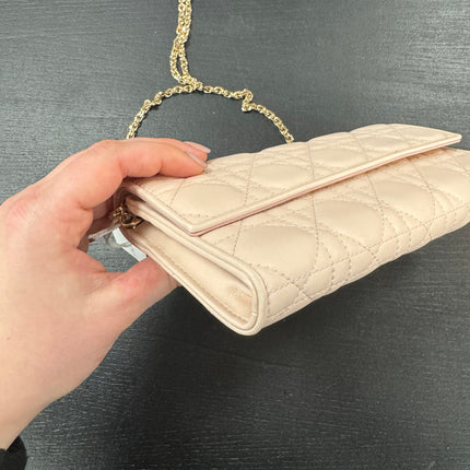 Sac Wallet on Chain Dior