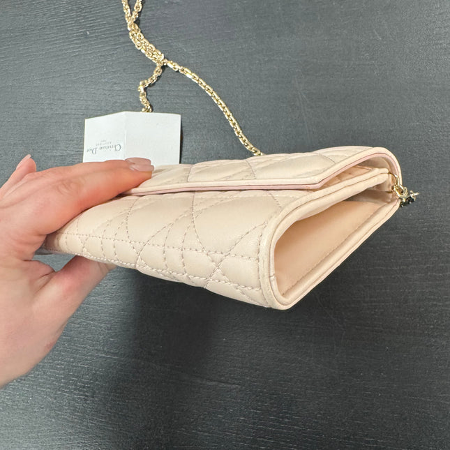 Sac Wallet on Chain Dior