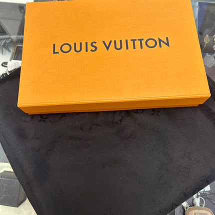 Châle Louis Vuitton
