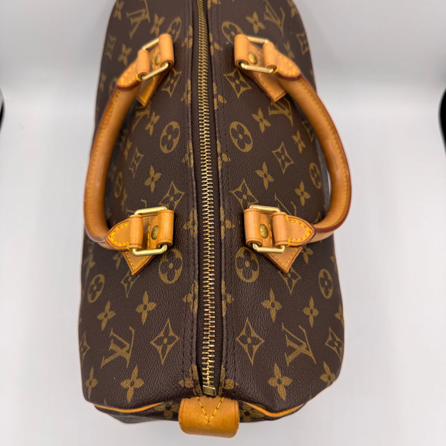 Sac Louis Vuitton Speedy 30
