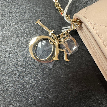 Sac Wallet on Chain Dior