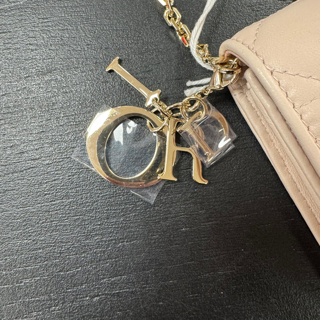 Sac Wallet on Chain Dior