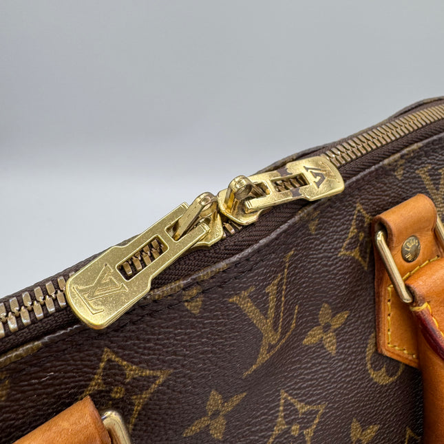 Sac Alma PM Louis Vuitton